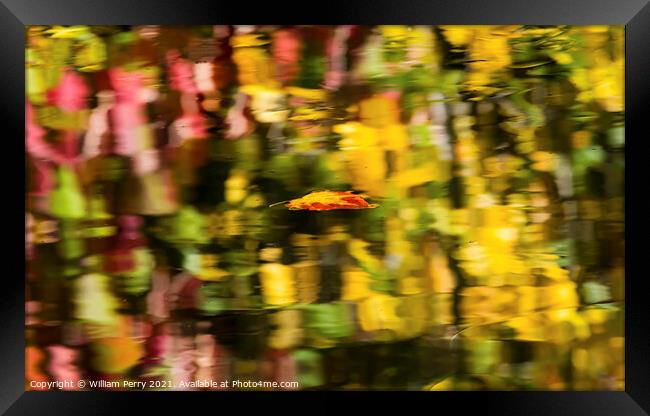 Floating Autumn Leaf Abstract Reflection Fall Colors Wenatchee R Framed Print by William Perry