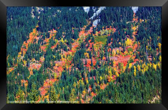 Fall Colors Mountain Sides Forest Stevens Pass Leavenworth Washi Framed Print by William Perry