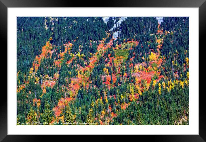 Fall Colors Mountain Sides Forest Stevens Pass Leavenworth Washi Framed Mounted Print by William Perry