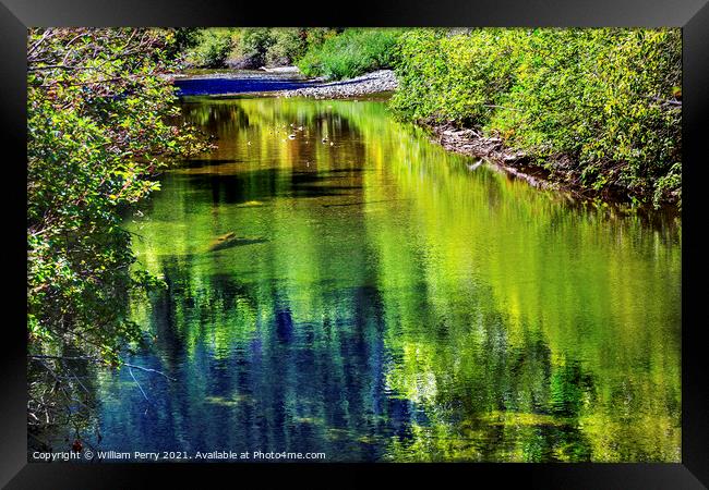 Summer Colors Green Reflection Wenatchee River Valley Washington Framed Print by William Perry