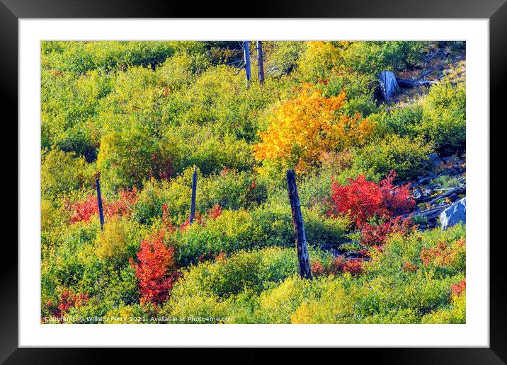 Fall Colors Mountain Sides Forest Leavenworth Washiington Framed Mounted Print by William Perry