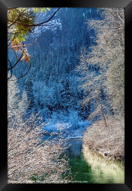 Winter Leaves Snow Ice Sun Wenatchee River Washington Framed Print by William Perry