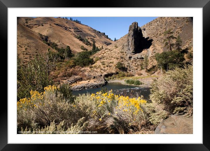 Naches River and Desert with Yellow Flowers Yakima Washington Framed Mounted Print by William Perry