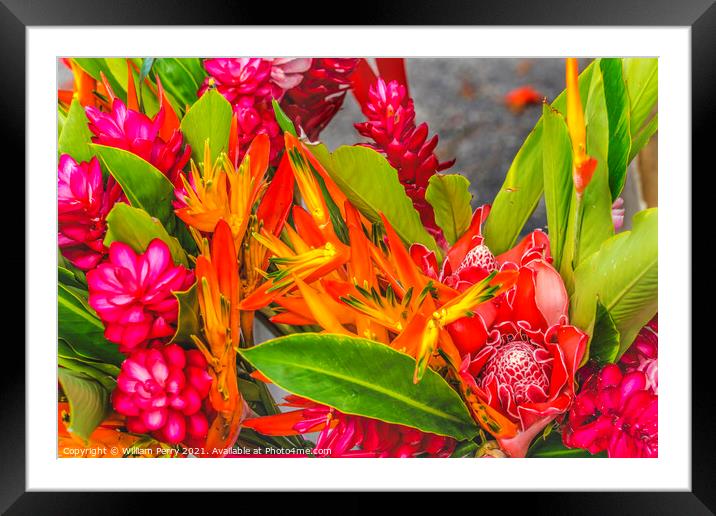 Christmas Flower Arrangement Torch Red Ginger Moorea Tahiti Framed Mounted Print by William Perry