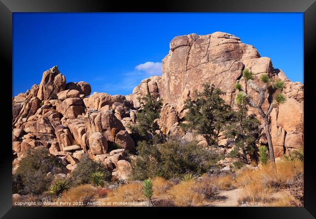 Hidden Valley Rock Yucca  Brevifolia Mojave Desert Joshua Tree N Framed Print by William Perry