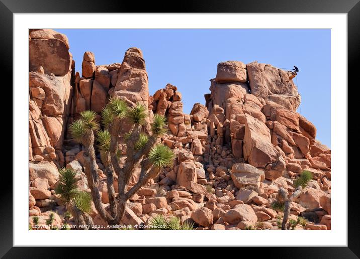 Rock Climb Yucca  Brevifolia Mojave Desert Joshua Tree National  Framed Mounted Print by William Perry