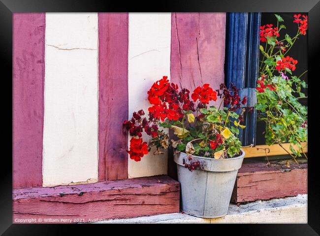Red Geranium Wiindow Old Town Street Honfluer France Framed Print by William Perry
