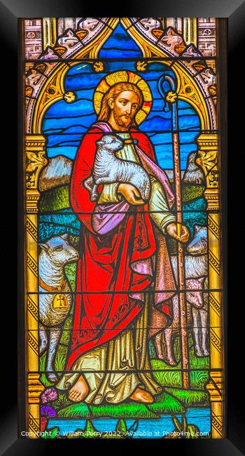 Jesus Lambs Stained Glass Church Saint Augustine Florida Framed Print by William Perry