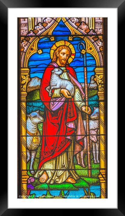 Jesus Lambs Stained Glass Church Saint Augustine Florida Framed Mounted Print by William Perry