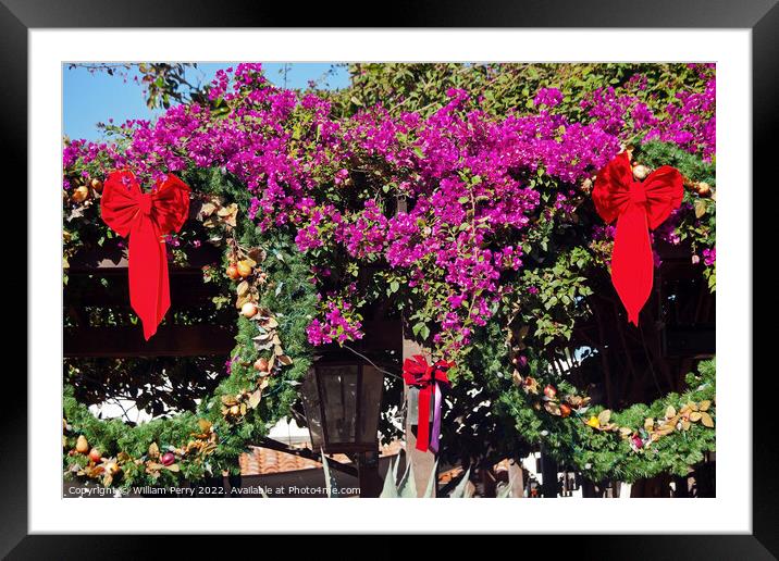 Christmas Wreaths Bougainvillea Old San Diego California Framed Mounted Print by William Perry