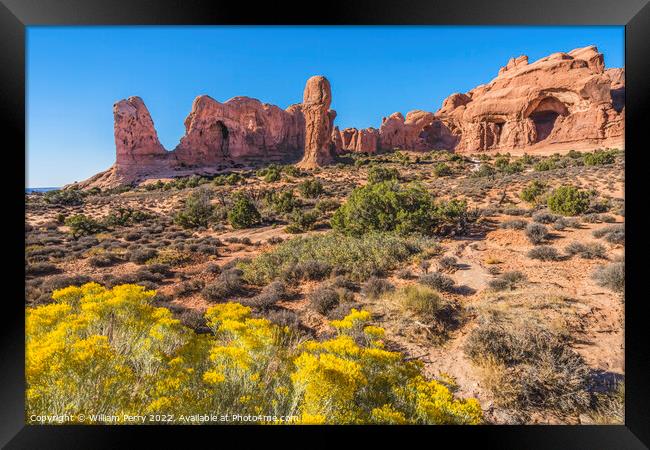 Double Arch Windows Section Arches National Park Moab Utah Framed Print by William Perry