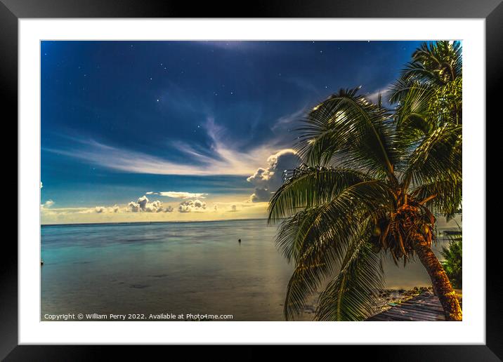 Moonlight Stars Clouds Night  Coconut Palm Trees Water Moorea Ta Framed Mounted Print by William Perry