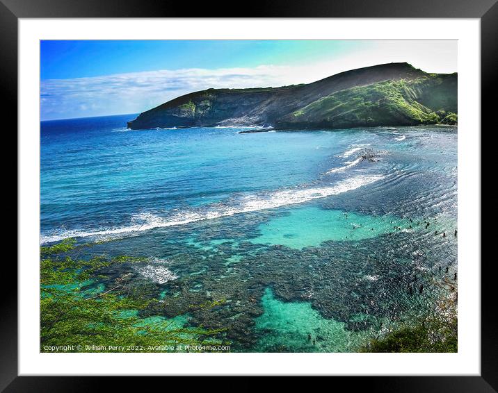 Coral Reefs Hanamu Bay Oahu Hawaii Framed Mounted Print by William Perry