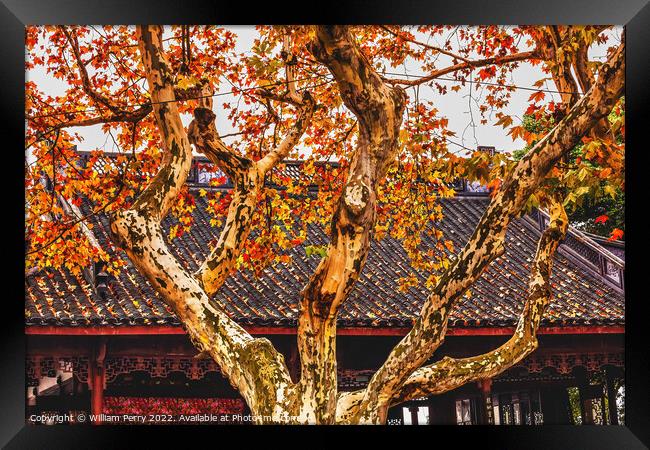 Ancient Chinese Roof Autumn Tree West Lake Hangzhou China Framed Print by William Perry