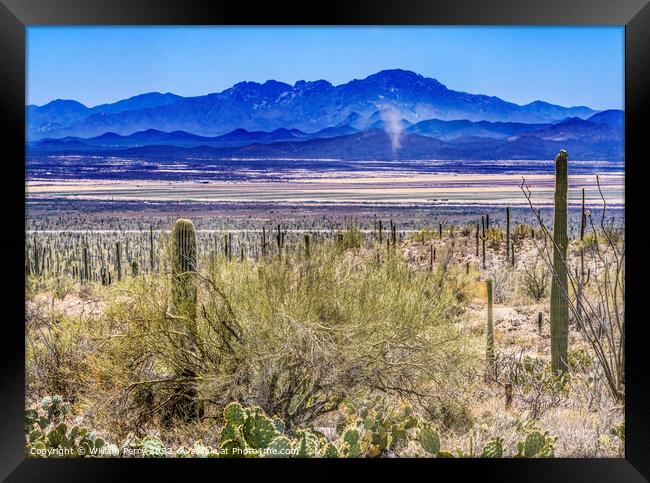 Dust Cloud Mountain Cactus Sonora Desert Muesum Tucson Arizona Framed Print by William Perry