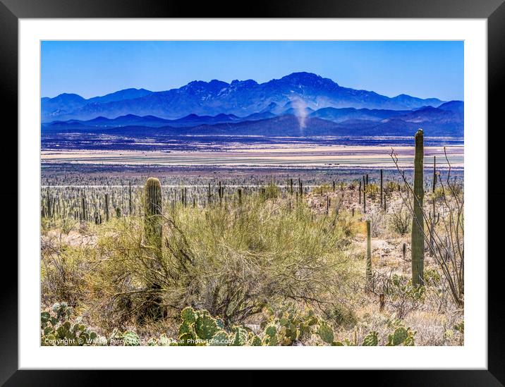 Dust Cloud Mountain Cactus Sonora Desert Muesum Tucson Arizona Framed Mounted Print by William Perry