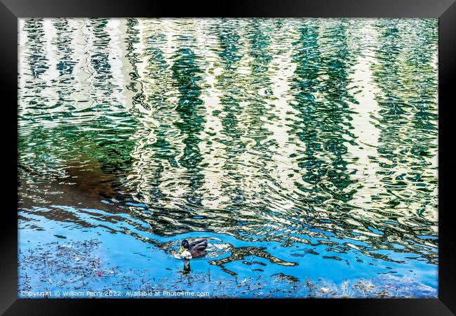 Duck Inner Harbor Buildings Reflection Abstract Lucerne Switzerl Framed Print by William Perry