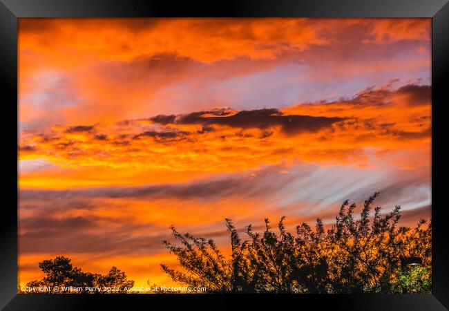 Colorful Sunset Sonora Desert Tucson Arizona Framed Print by William Perry