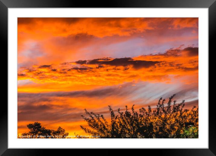 Colorful Sunset Sonora Desert Tucson Arizona Framed Mounted Print by William Perry