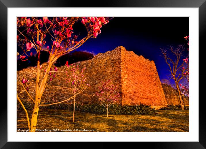 Magnolias Ming City Wall Park Night Illuminated Beijing China Framed Mounted Print by William Perry