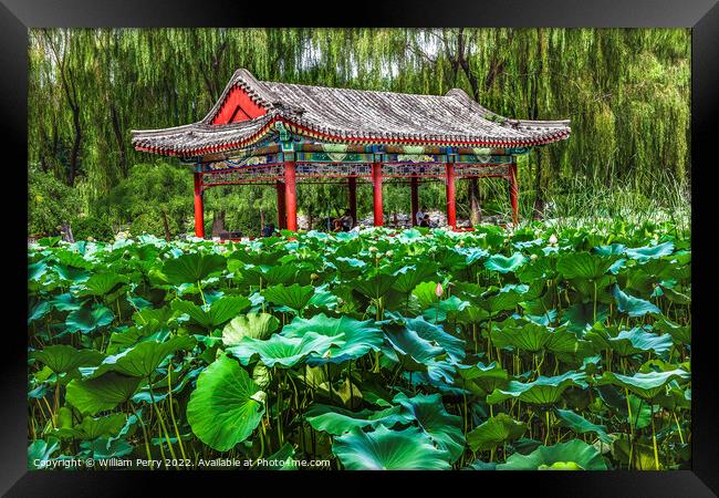 Red Pavilion Lotus Garden Temple of Sun Beijing, China Framed Print by William Perry