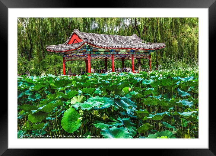 Red Pavilion Lotus Garden Temple of Sun Beijing, China Framed Mounted Print by William Perry