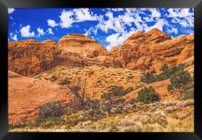 Rock Canyon Devils Garden Arches National Park Moab Utah  Framed Print by William Perry