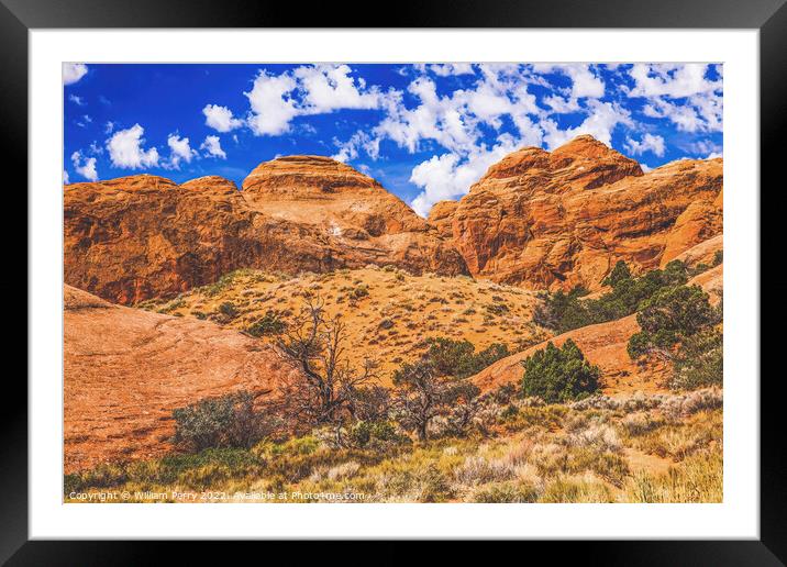 Rock Canyon Devils Garden Arches National Park Moab Utah  Framed Mounted Print by William Perry