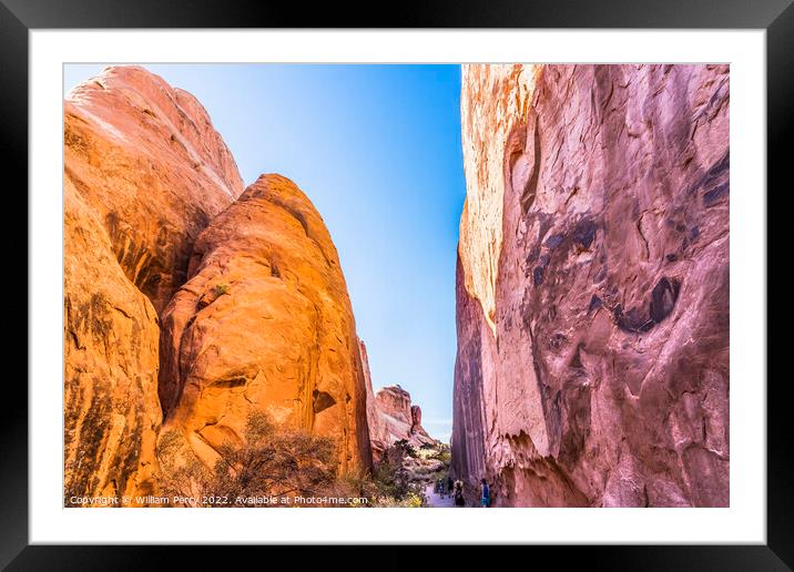 Canyon Walls Entrance Garden Arches National Park Moab Utah Framed Mounted Print by William Perry