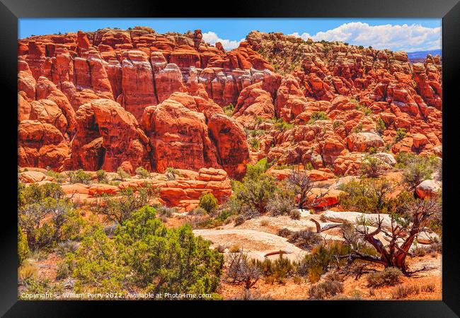 Colorful Fiery Furnace Hoodoos Arches National Park Moab Utah Framed Print by William Perry
