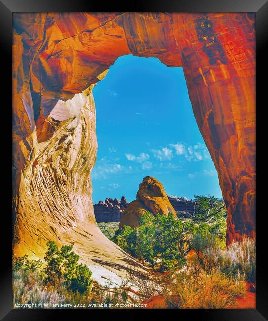 Pine Tree Arch Devils Garden Arches National Park Moab Utah  Framed Print by William Perry