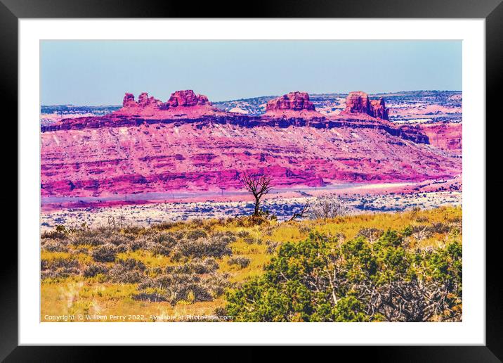 Dead Tree Moab Fault Arches National Park Moab Utah  Framed Mounted Print by William Perry