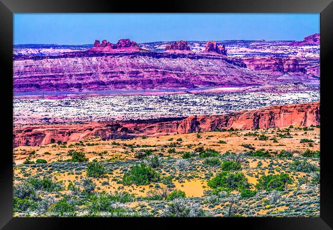 Yellow Grass Lands Moab Fault Arches National Park Moab Utah  Framed Print by William Perry