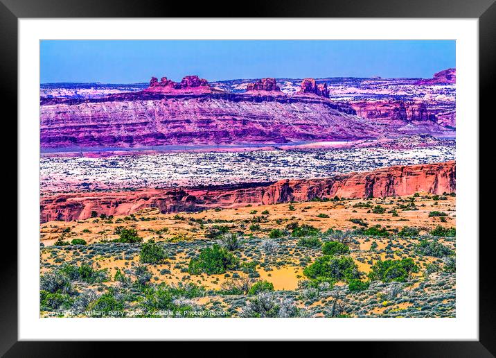 Yellow Grass Lands Moab Fault Arches National Park Moab Utah  Framed Mounted Print by William Perry