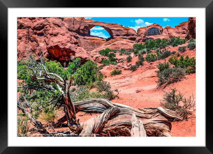 Red Brown Skyline Arch Rock Canyon Arches National Park Moab Uta Framed Mounted Print by William Perry