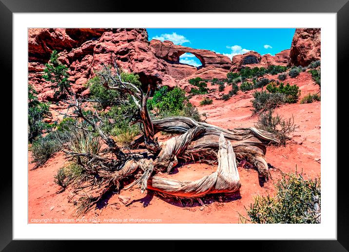 Skyline Arch Rock Canyon Arches National Park Moab Utah  Framed Mounted Print by William Perry