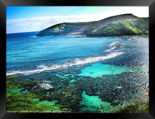 Swimmers Hanamu Bay Oahu Hawaii Framed Print by William Perry