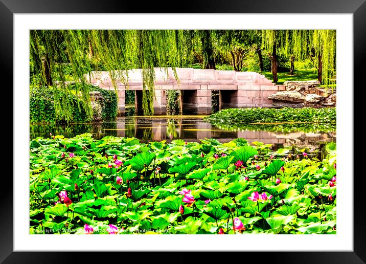 Lotus Garden Bridge Summer Palace Beijing, China Framed Mounted Print by William Perry