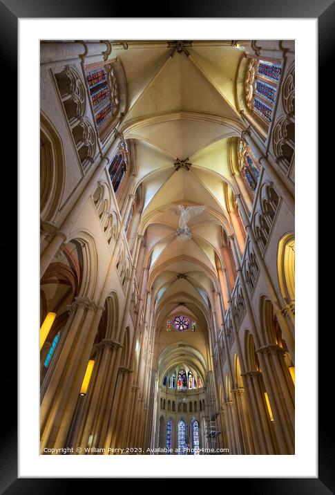 St John the Baptist Cathedral Basilica Lyon France Framed Mounted Print by William Perry