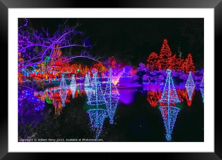 Christmas Lights Van Dusen Garden Vancouver British Columbia Framed Mounted Print by William Perry