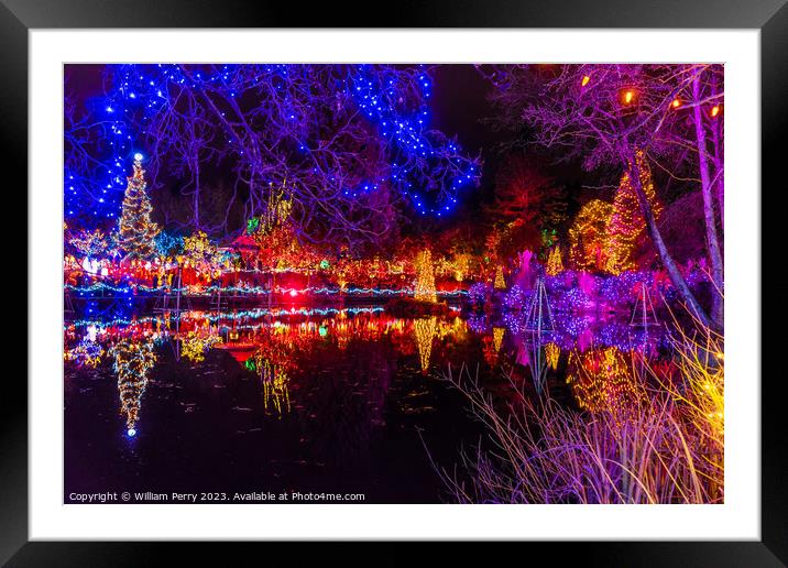 Christmas Lights Reflection Van Dusen Garden Vancouver British C Framed Mounted Print by William Perry