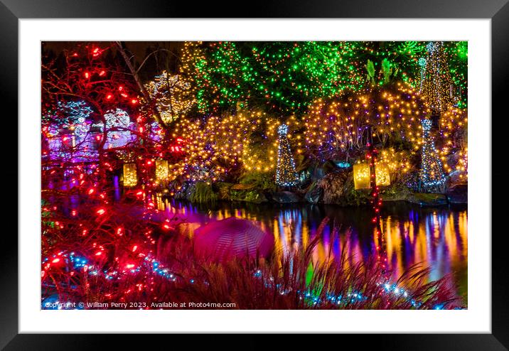 Christmas Lights Van Dusen Garden Vancouver British Columbia Framed Mounted Print by William Perry