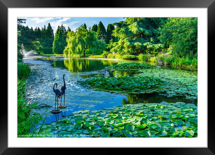 Bird Statues Lily Pads Van Dusen Garden Vancouver British Columb Framed Mounted Print by William Perry
