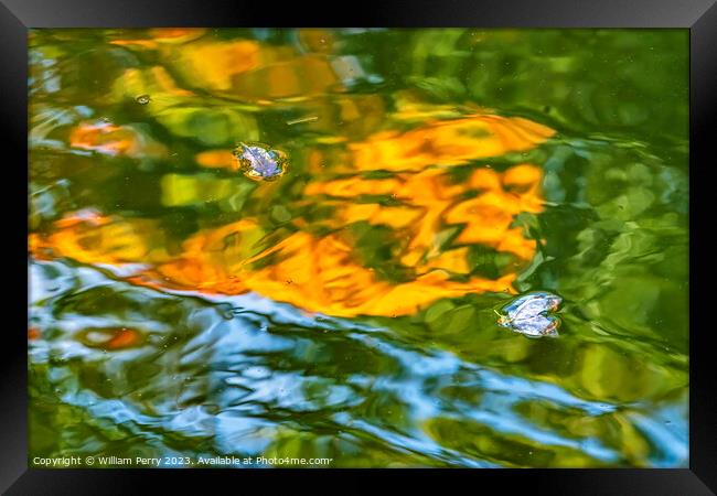 Floral Leaves Orange Green Water Reflection Abstract Habikino Os Framed Print by William Perry