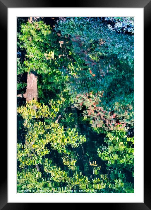 Tree Green Leaves Water Reflection Abstract Habikino Osaka Japan Framed Mounted Print by William Perry