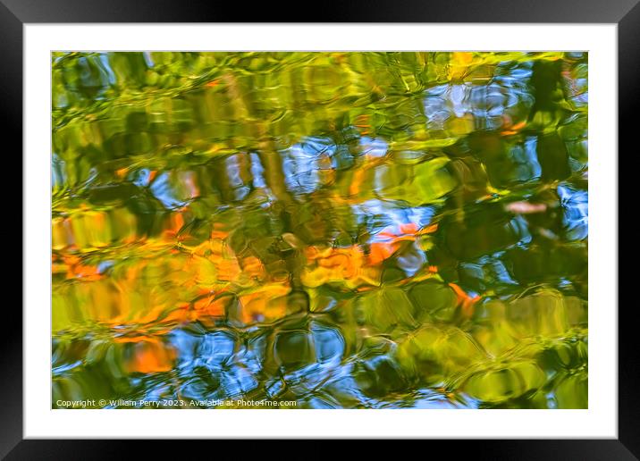 Tree Orange Green Blue Water Reflection Abstract Habikino Japan Framed Mounted Print by William Perry