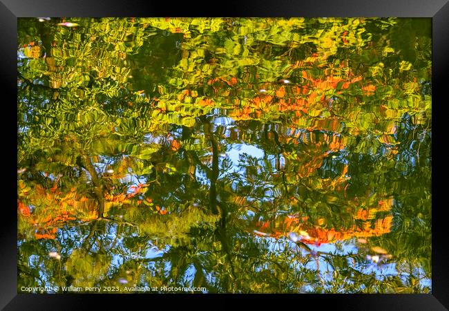 Tree Orange Green Blue Water Reflection Abstract Habikino Japan Framed Print by William Perry