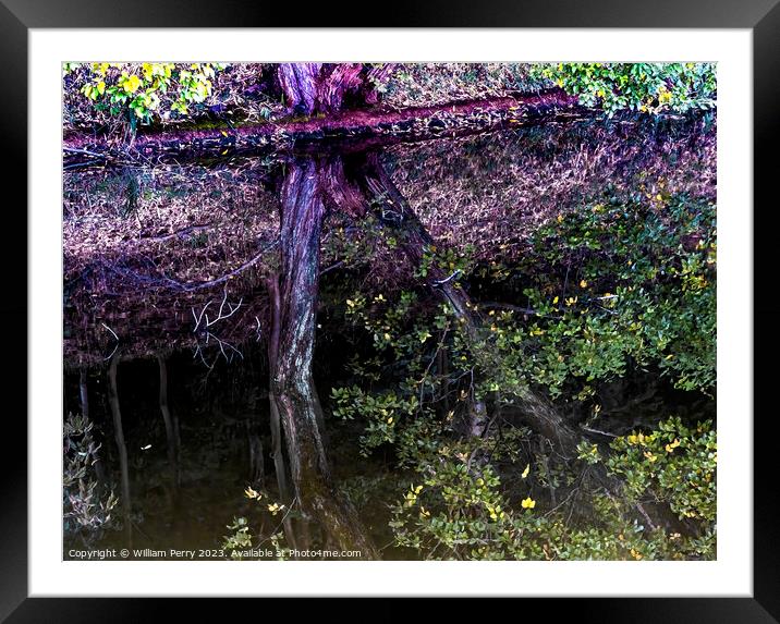Tree Green Yellow Water Reflection Abstract Habikino Japan Framed Mounted Print by William Perry
