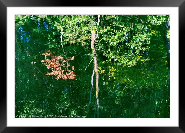 Tree Red Green Grey Water Reflection Abstract Habikino Japan Framed Mounted Print by William Perry
