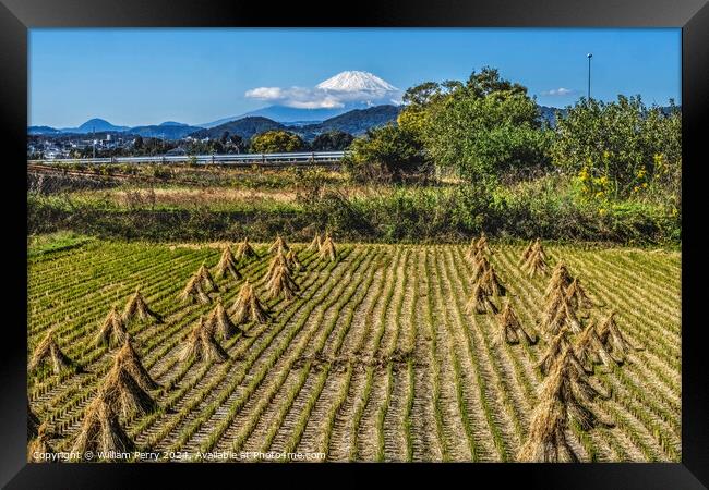 Rice Field Countryside Mount Fuji Hiratsuka Kanagawa Japan Framed Print by William Perry